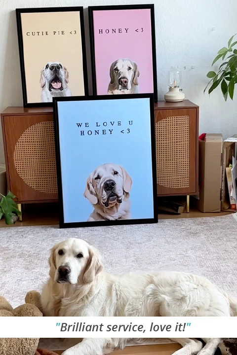 dog with three pet portraits in the background